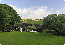 devon countryside